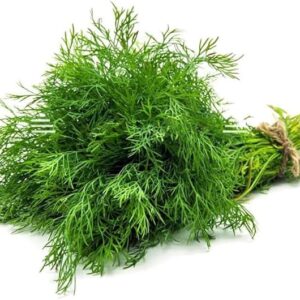 Dill Leaves