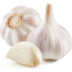 Garlic(pack of 3)