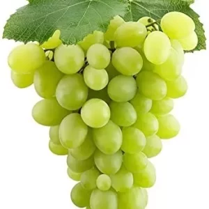 Grapes