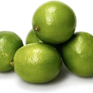 Lime Green(Pack of 5)