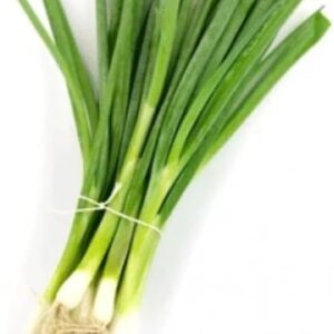 Spring Onion