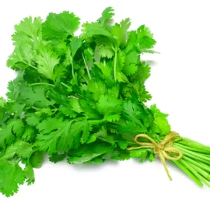 Coriander