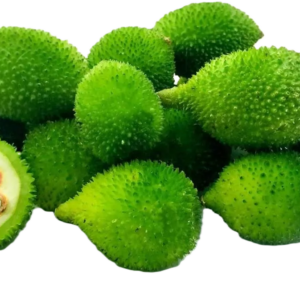 Parvar