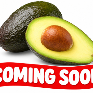 Avocado(Pack of 3)