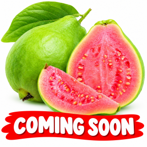 Guava(500g)